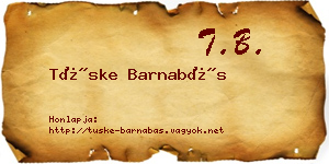 Tüske Barnabás névjegykártya